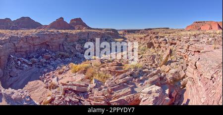 Vue sur Tiponi Gap au loin de la falaise sèche des chutes Tiponi Gap dans le parc national de la forêt pétrifiée en Arizona. Banque D'Images