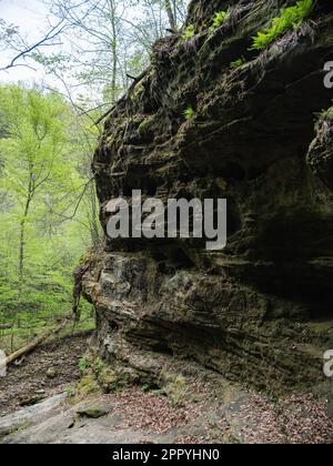 Sentier du Little Grand Canyon dans la forêt nationale de Shawnee Banque D'Images