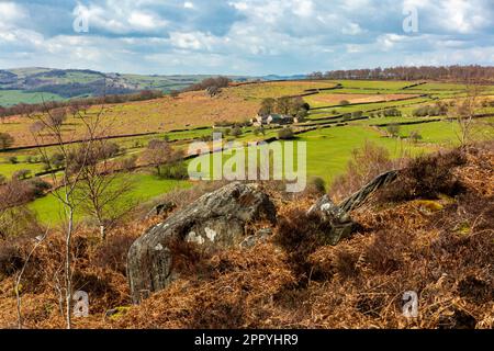 Vue d'hiver avec des rochers et des arbres à Birchen Edge près de Baslow dans le parc national de Peak District Derbyshire Angleterre Royaume-Uni Banque D'Images