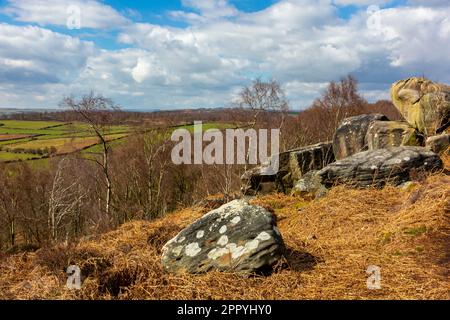 Vue d'hiver avec des rochers et des arbres à Birchen Edge près de Baslow dans le parc national de Peak District Derbyshire Angleterre Royaume-Uni Banque D'Images