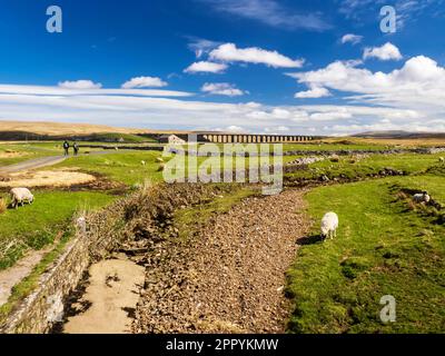 Les randonneurs qui marchent vers le viaduc emblématique de Ribblehead sur la ligne de Carlisle de Settle à la tête de Chapel-le-Dale, en dessous de Whernside, Yorkshire Dales, Royaume-Uni. Banque D'Images