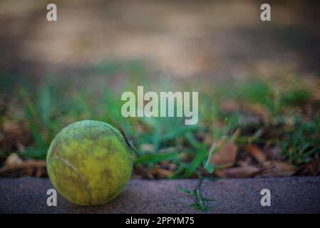 Vieille balle de tennis sale sur le trottoir près d'un court de tennis à Costa Mesa, Californie Banque D'Images