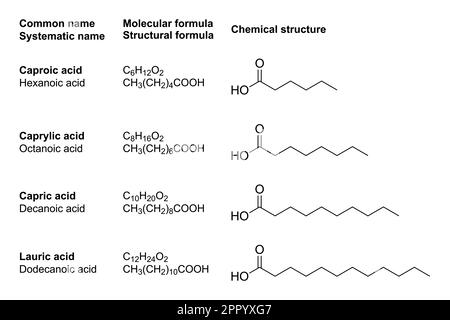 Acides gras à chaîne moyenne, MCFA, structures chimiques Illustration de Vecteur