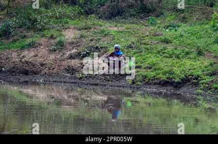 Dévoilement de la tapisserie intemporelle des traditions : capturez le voyage émouvant d'une dame tribale Karnataka pêchant au bord de la rivière. Banque D'Images