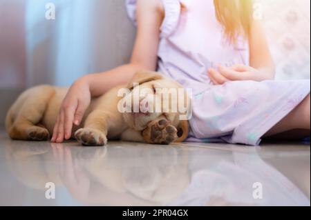 Enfant fille animal petit labrador chiot posé sur fond de sol Banque D'Images