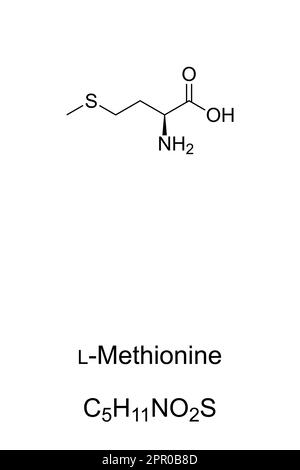 L-méthionine, formule et structure chimiques, acide aminé essentiel Illustration de Vecteur