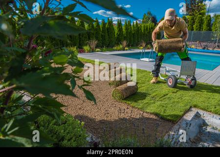 Travailleur caucasien de l'aménagement paysager et du jardinage dans son 40s installation de pelouse fraîche faite de gazon naturel tourfs. Banque D'Images