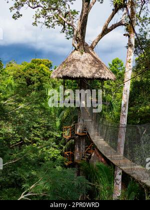 Hébergement de luxe dans la forêt amazonienne. Maison en bois, forêt amazonienne, Amazonie, Réserve nationale de Pacaya Samiria, Pérou, Amérique du Sud. Banque D'Images