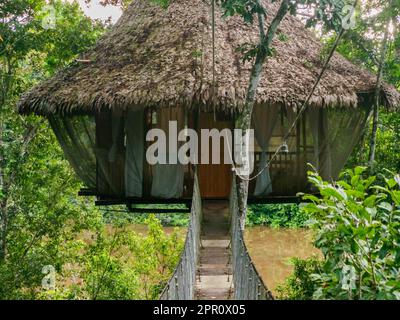 Hébergement de luxe dans la forêt amazonienne. Maison en bois, forêt amazonienne, Amazonie, Réserve nationale de Pacaya Samiria, Pérou, Amérique du Sud. Banque D'Images