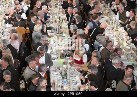 Munich, Allemagne. 25th avril 2023. Les clients fêtent la prise de la Maibock à la Hofbräuhaus. Credit: Felix Hörhager/dpa/Alay Live News Banque D'Images