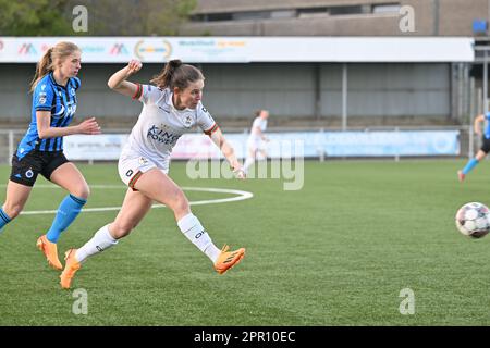 RSCA VS OHL  Sportpix.be