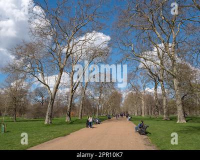 Piétons marchant sur un chemin typique bordé d'arbres à Kensington Gardens, Londres, Royaume-Uni. Banque D'Images