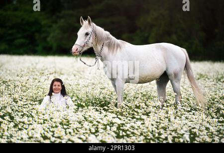 Femme assise dans une prairie de printemps de forêt pleine de fleurs de Marguerite, cheval arabe blanc à côté d'elle Banque D'Images