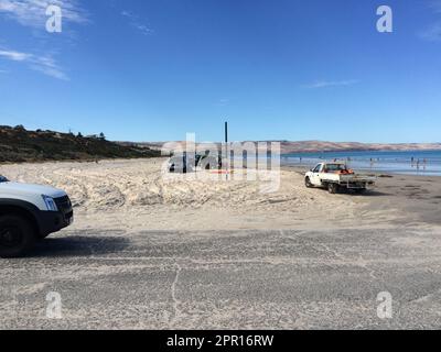 Sellicks Beach/Aldinga Beach Australie méridionale. La plage de Sellicks est l'une des seules plages d'Adélaïde où les voitures sont autorisées sur le sable. Banque D'Images