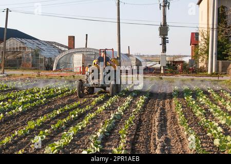 les agriculteurs pulvérisent des récoltes de terrain avec un pulvérisateur monté sur un tracteur Banque D'Images