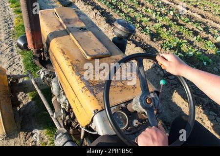 agriculteur conduisant un tracteur dans le champ Banque D'Images