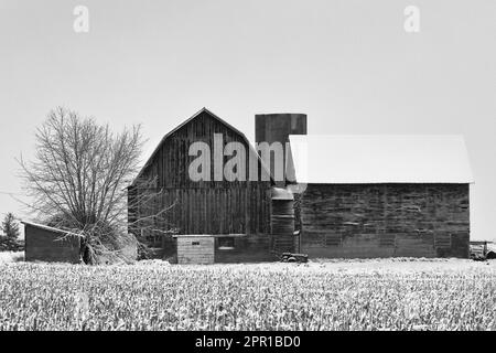 Grange classique avec toit de gambourin dans la neige dans le centre du Michigan, États-Unis [aucune autorisation de propriété; licence éditoriale seulement] Banque D'Images