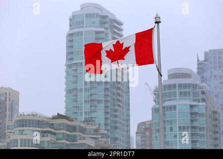 Le drapeau canadien flottant un jour de neige à Vancouver, Colombie-Britannique, Canada, avec des condominiums au bord de l'eau du centre-ville et des bâtiments gentrifiés Banque D'Images