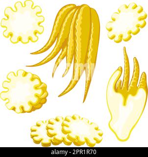 Buddhisarden arbres fruit Illustration de Vecteur