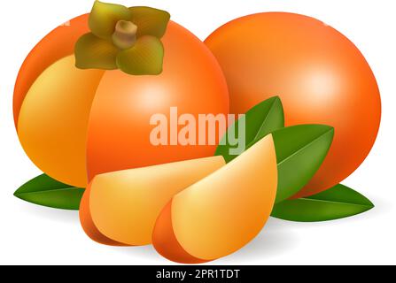Fruit persimmon réaliste Illustration de Vecteur