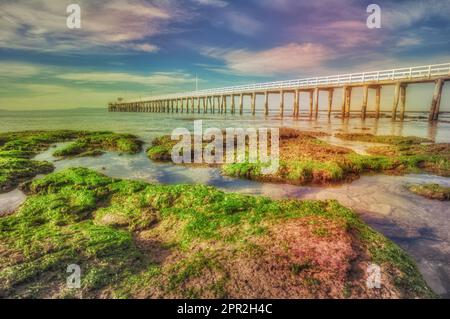 La plage rocheuse de point Lonsdale Pier, Port Philip Bay, Bellarine Peninsula, Victoria, Australie Banque D'Images