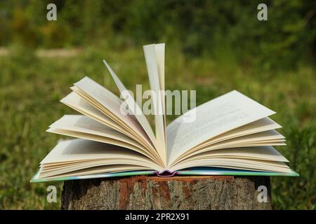 Livre ouvert sur la souche d'arbre dans la campagne Banque D'Images