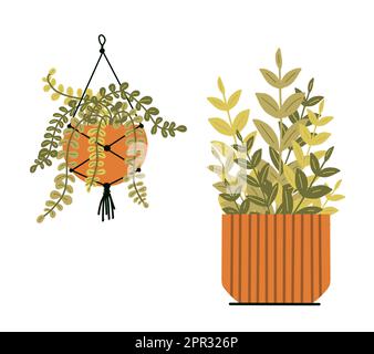 Ensemble de plantes d'origine en pots. Illustration du dessin à la main, isolée sur fond blanc. Plat Banque D'Images