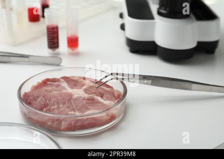 Échantillon de viande de culture sur table de laboratoire blanche Banque D'Images