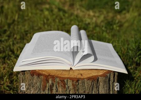 Livre ouvert sur la souche d'arbre dans la campagne Banque D'Images