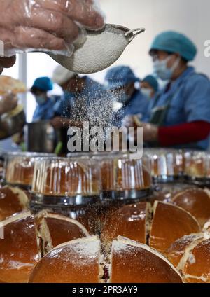 (230426) -- TACHENG, 26 avril 2023 (Xinhua) -- les employés font du pain au fromage Tacheng à l'atelier de la compagnie alimentaire Jiangqu à Tacheng, dans la région autonome de Xinjiang, au 1 avril 2023, dans le nord-ouest de la Chine. Située à la frontière de la Chine et du Kazakhstan, la petite ville de Tacheng abrite 25 groupes ethniques. Wang Huipeng et sa femme ont ouvert une boulangerie ici en 2016. Aujourd'hui, la boulangerie s'est développée en une petite usine alimentaire nommée Jiangqu, avec des employés provenant de 9 groupes ethniques différents. Beaucoup de leurs produits sont des favoris locaux, parmi lesquels leur pain au fromage de marque Tacheng est en train de dessiner Banque D'Images