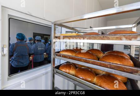 (230426) -- TACHENG, 26 avril 2023 (Xinhua) -- les employés font du pain au fromage Tacheng à l'atelier de la compagnie alimentaire Jiangqu à Tacheng, dans la région autonome de Xinjiang, au 1 avril 2023, dans le nord-ouest de la Chine. Située à la frontière de la Chine et du Kazakhstan, la petite ville de Tacheng abrite 25 groupes ethniques. Wang Huipeng et sa femme ont ouvert une boulangerie ici en 2016. Aujourd'hui, la boulangerie s'est développée en une petite usine alimentaire nommée Jiangqu, avec des employés provenant de 9 groupes ethniques différents. Beaucoup de leurs produits sont des favoris locaux, parmi lesquels leur pain au fromage de marque Tacheng est en train de dessiner Banque D'Images