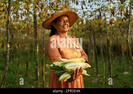 Femme indienne aînée heureuse en chapeau de paille tenant ses concombres récoltés. Femme sri-lankaise souriante sur sa ferme montrant mûre rassemblée Banque D'Images