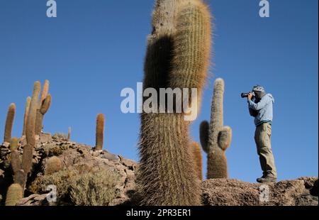 Homme prenant une photo sur la célèbre île de Cactus au milieu des appartements de sel d'Uyuni, en Bolivie Banque D'Images