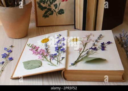 Livre avec de belles fleurs séchées sur une table en bois Banque D'Images