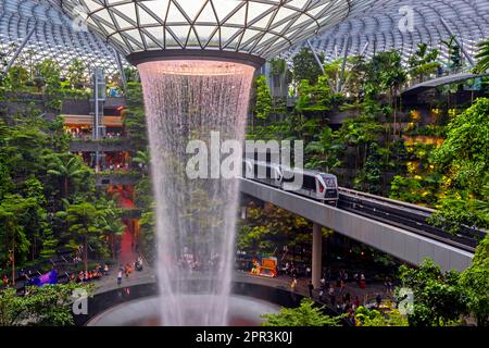 Singapour. Joyau, cascade et forêt intérieure à l'aéroport Changi de Singapour. Singapour Changi a été couronné le meilleur aéroport au monde. Banque D'Images
