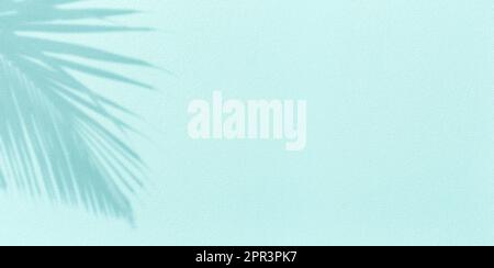 Panorama d'un mur de texture avec ombre de feuilles de palmier à noix de coco sur fond turquoise. Concept de plage de voyage tropical d'été. Flat Lay pastel palmiers natur Banque D'Images