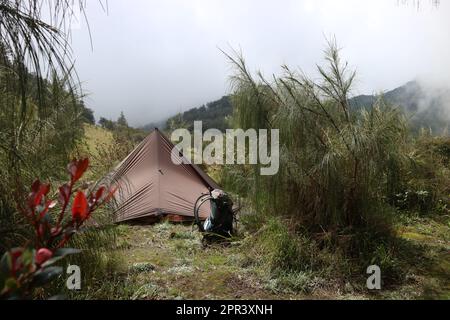 Camping avec une tente hexagone, hexapeak ou hexamide dans le désert Banque D'Images