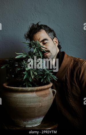 un jeune homme aux cheveux bruns appréciant, sentant, touchant et se retrouvant à côté de sa plante de marijuana. Cannabis concept. Banque D'Images