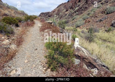 Sentier de randonnée dans le Barranco de los Guinchos, les îles Canaries, Gran Canaria, Barranco de los Guinchos Banque D'Images