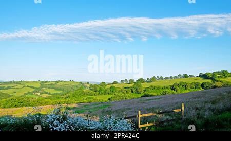 Longue formation de nuages altostratus ou stratus s'étendant dans le ciel au-dessus du paysage d'été des terres agricoles gallois dans Carmarthenshire Wales UK KATHY DEWITT Banque D'Images