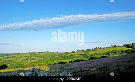 Longue formation de nuages altostratus ou stratus s'étendant dans le ciel au-dessus du paysage d'été des terres agricoles gallois dans Carmarthenshire Wales UK KATHY DEWITT Banque D'Images