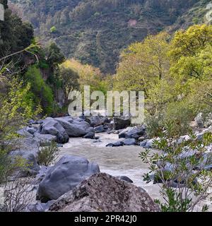 Gorge d'Alcantara, Gole dell'Alcantara, Italie, Sicile, Mitogio Banque D'Images