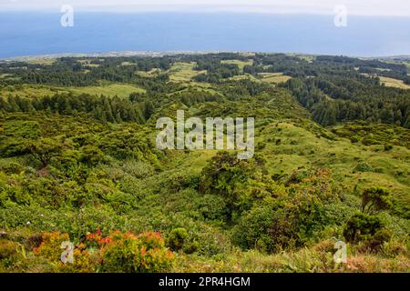 Vue panoramique depuis le bord de Caldeira de Faial, Açores, Portugal Banque D'Images