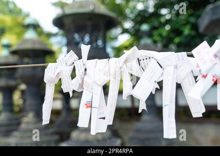 Japonais Omikuji fortune dire des feuillets de papier attaché à une corde au sanctuaire Ueno Tosho-gu honden et Karamon dans le parc Ueno, Tokyo, Japon. Omikuji qui indiquent la mauvaise chance sont liés à la chaîne pour être débarrassé de la mauvaise fortune. Banque D'Images