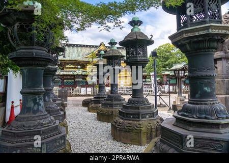 Des lanternes de style japonais en pierre et cooper menant au sanctuaire Ueno Tosho-gu honden et Karamon dans le parc Ueno, Tokyo, Japon. Le sanctuaire a été construit en 1627 comme mausolée des shoguns Tokugawa. Banque D'Images