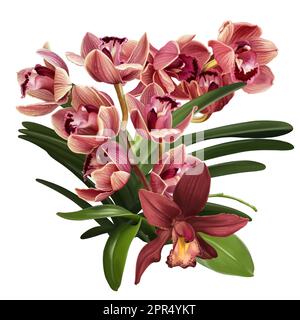 Bouquet d'orchidées d'aquarelle. Fleurs réalistes de cymbidium, de phalaenopsis et de Paphiopedilum Banque D'Images