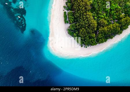 Vue aérienne de la plage bordée de palmiers dans le lagon bleu, Zanzibar, Tanzanie Banque D'Images