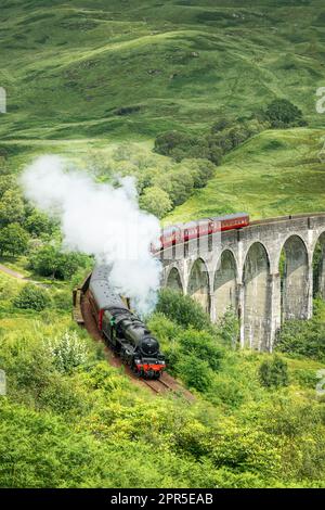 Le train à vapeur Jacobite sur le viaduc de Glenfinnan dans les Highlands du Nord-Ouest, en Écosse, au Royaume-Uni. Le train et le pont ont été présentés dans le Harry Potter Banque D'Images