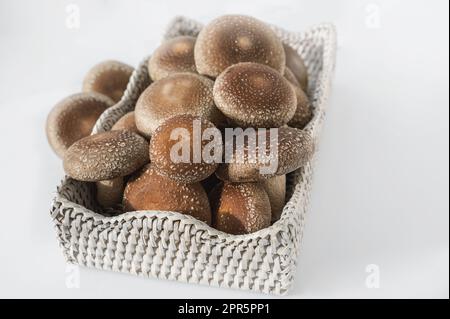 Champignons shiitake bio dans le panier et sur la pierre. Banque D'Images