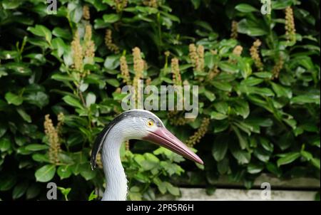 Leurre en plastique Heron dans un jardin Banque D'Images